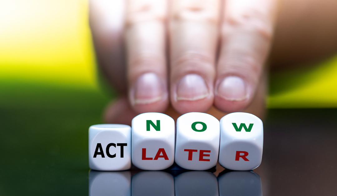 WARNING: olifant in porseleinkast!